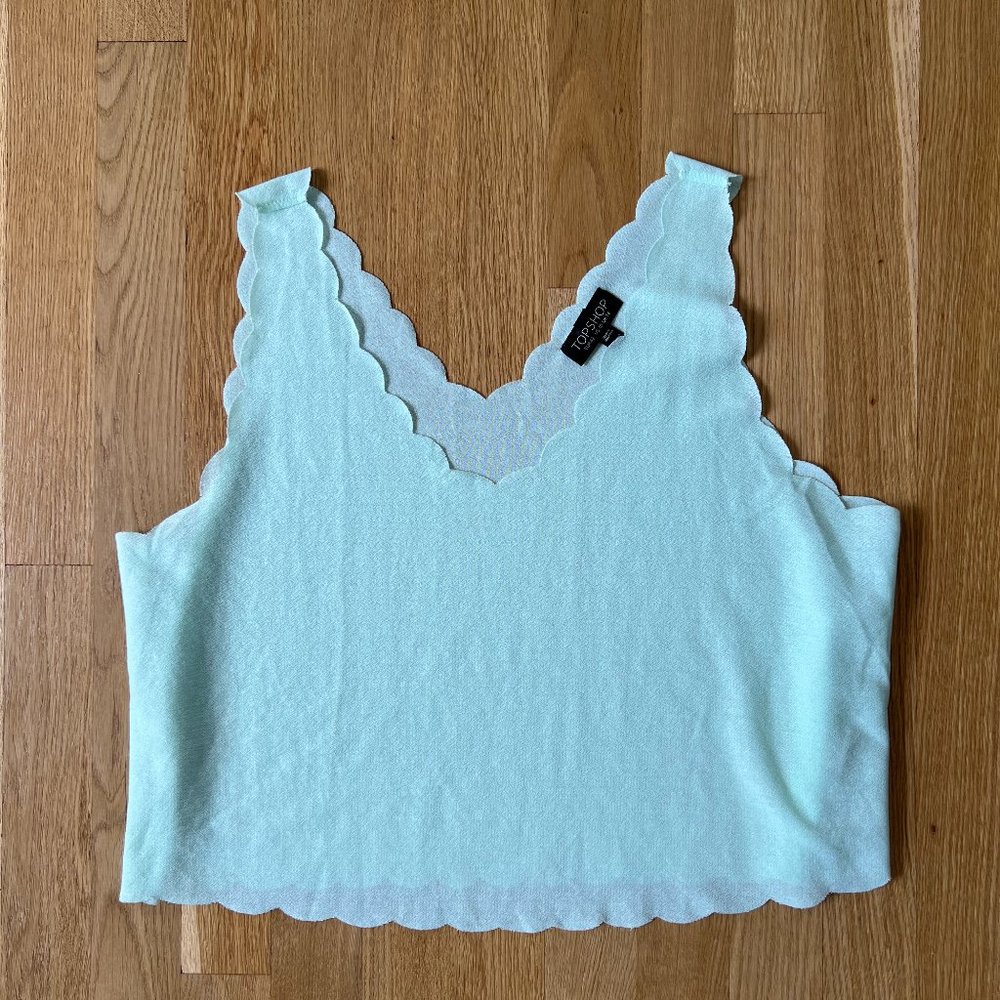 Top Shop Sheer Blouse